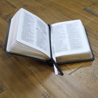 image_3efe3f10-4f5b-44d6-a5b8-418588454b1f