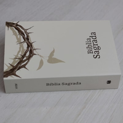 image_60eaa700-c314-4b08-ab48-fe9de7dad9ae