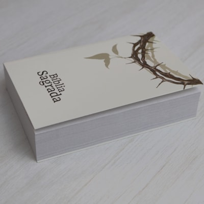 image_c95f15b4-6263-44b4-bcee-a44ef61f7e89