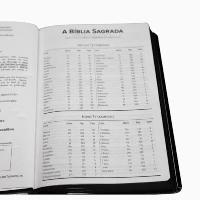 image_dd597612-823e-4bff-9edb-93badc71d6bf