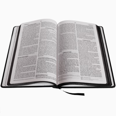 image_924a3780-119a-4e08-b9b9-806b8466d15d