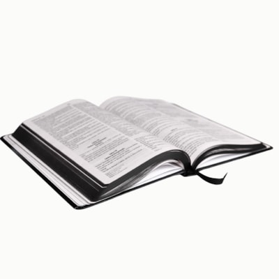 image_5679363c-e270-4a32-b3e7-23b86657998c