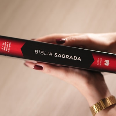 image_81d66a09-87b5-4f49-840b-3460599af20e