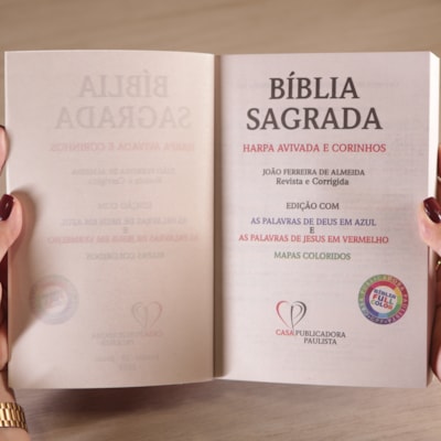 image_8ee493ea-28f5-4641-b14e-18bb6fcd9ac6