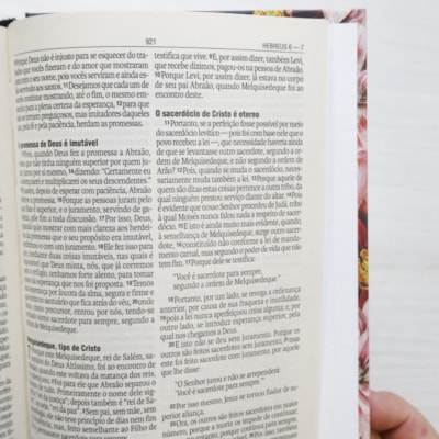 image_deab5a73-db9c-4304-9186-668c1653a868