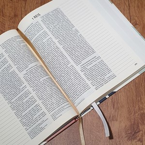 Bíblia Sagrada Cristo Vive | NVI | Capa Dura com Espaço para Anotações