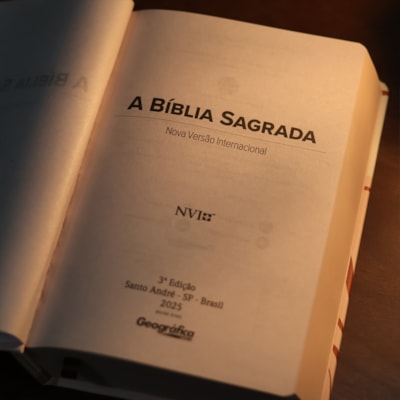 image_51b20b2b-c036-46ac-9c18-c1d20669c8ce