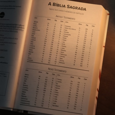 image_95a82b3b-6d87-4e00-a33d-65603df161da