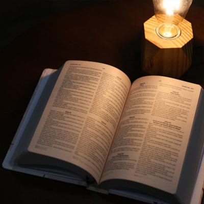 image_507d44dc-d1c8-4204-b171-f000efb276b8