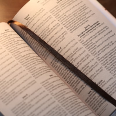 image_d7b7ffb5-3a42-4788-8e72-4aa91da96e9a