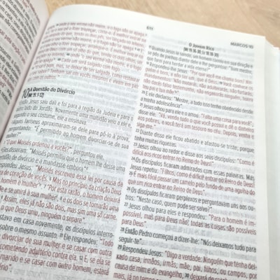 image_8fd6ccf8-98cc-4a6d-903c-6f43d4c7c6a0