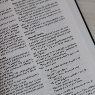 image_cddbd2ad-f6c4-4a59-afa7-41def63f27c3