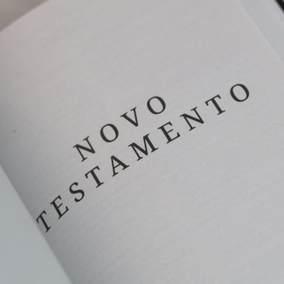 image_c88defe8-3ca4-449e-86ca-5c9d6437a100