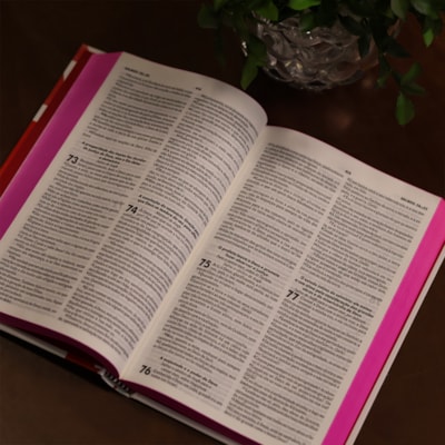 image_36649d71-ea5b-4e84-a9b2-9302a44ac3a1