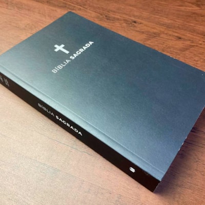 image_431df232-e9f4-49d7-87a2-af3541133fea