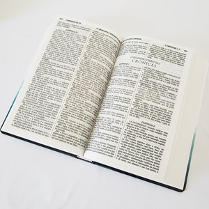 Bíblia Sagrada Cruz Azul | ACF | Letra Normal | Capa Dura