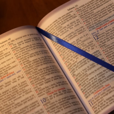 image_7978813d-96d1-4062-ba03-d098074b88da