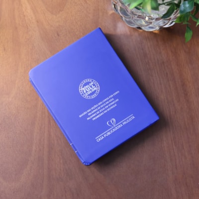 image_499d6d66-23b4-4b6e-847b-6438623e6fd7