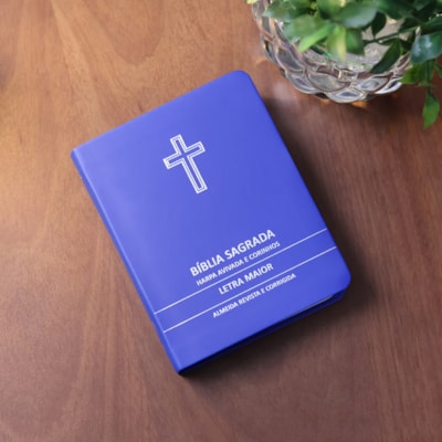 image_937705c4-7c60-4d27-8769-a432bff92ae3