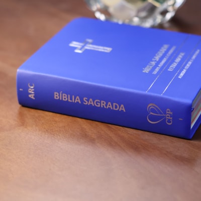 image_20411223-36d5-4b49-8232-d44046488571