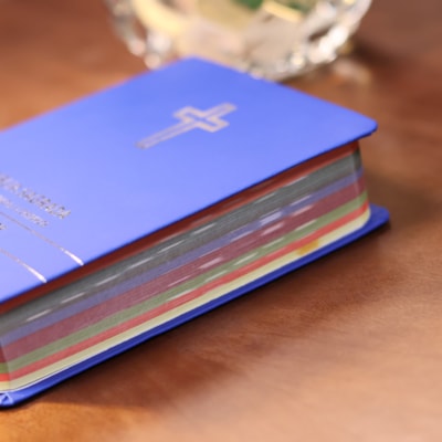 image_70f9079a-f971-4342-bb4d-919e3ff79c8d