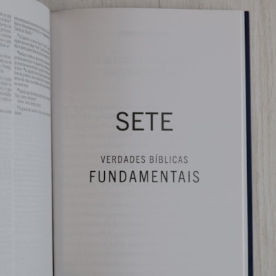 image_ca522680-5a33-45c7-a1e5-2d3e67e531ba