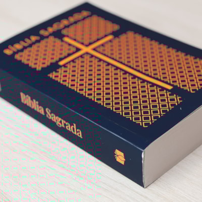 image_b4dfc5a3-5d30-488f-a4c4-fe85c282c596