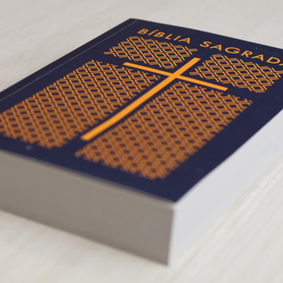 image_2b98ac36-2886-4075-8a85-ab2b710fd6f1