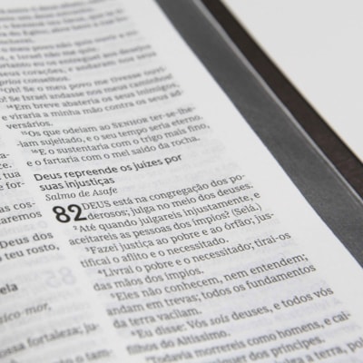 image_2c8908d2-3108-42d3-b729-c3854842ebc3