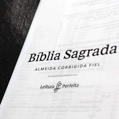 image_13f56193-97a8-461d-acaa-be95801cbecd