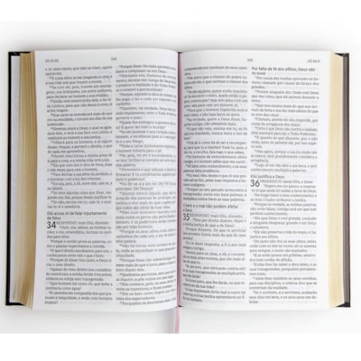 image_2531b226-9c4e-40ab-9ae0-041611966f4b