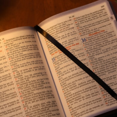 image_dd51f240-e384-4dbf-836d-3f6f175b4fc8