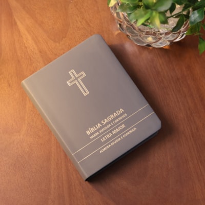 image_88965aff-19b5-4f1d-a7a3-eb114e1e446f