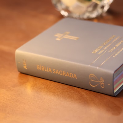 image_47f2f6e8-3063-4b06-af4a-b951736c94fb