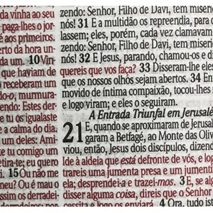 Bíblia Sagrada Cruz Colorida | Letra Grande | ARC | Capa Dura