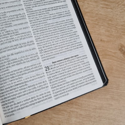 image_eb871caa-890d-4470-a27d-03f7f6a7b253