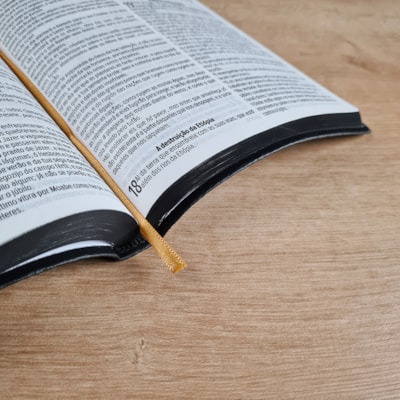 image_55878431-952a-4256-ae01-a5853fdfbb97