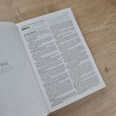 image_f1dcf446-0267-4426-9278-250811ca4193