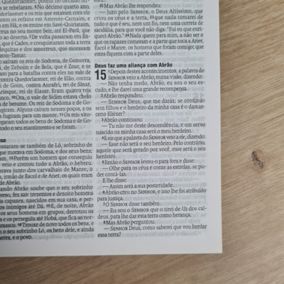 image_2ef05aa1-3aa8-407d-9ca2-984a8df9a985