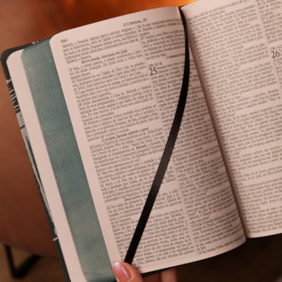 image_fc1d047e-ace2-499a-a225-8e4588176001