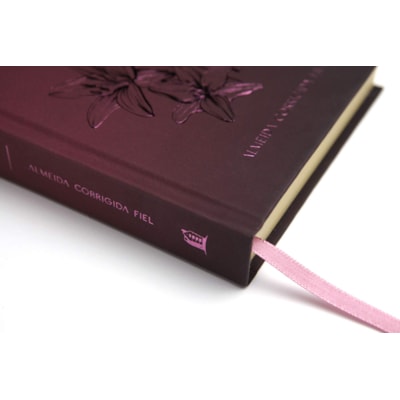 image_8cfcfe3a-1e65-48f7-9af8-c1b004e4148c