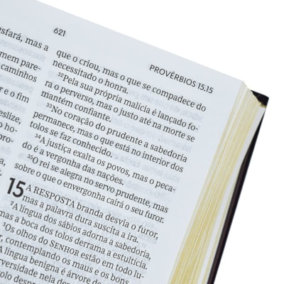 image_d463f23e-2f48-4891-9684-7cb687011e10