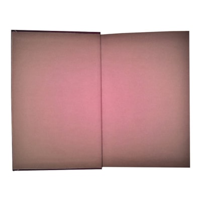 image_d8cbe809-28be-4cb2-adbd-75a45e7ddaf1