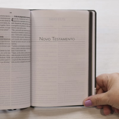 image_46380260-1a5b-49d9-a997-f3f459b097af