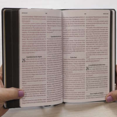 image_a4e6b1d1-5081-4c68-81d9-43dab9bd2aab