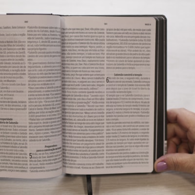 image_88fa1f3c-6315-490a-9e0a-e38ff7711925