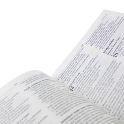 image_958ddd0c-ec01-4860-8247-0c768956fa33