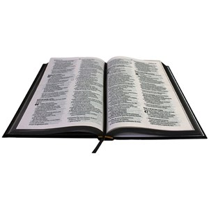 Bíblia Sagrada Cruz Listrada Dourada | Letra Normal | NAA | Capa Dura