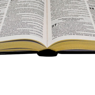 image_d984c279-6672-4948-b271-5685aba4c6b4