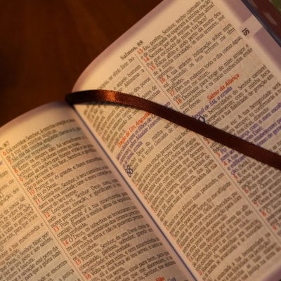 image_f1965d9c-cdb0-458d-80e1-0abc9f2c975f